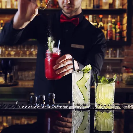 Titanic Gendarmenmarkt 5* برلين